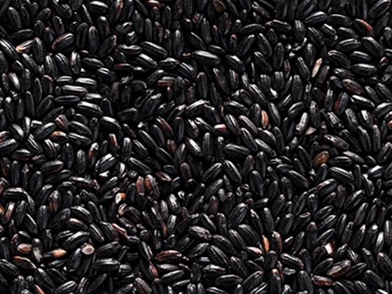 Nutritional Rice and Instant Rice Production Line