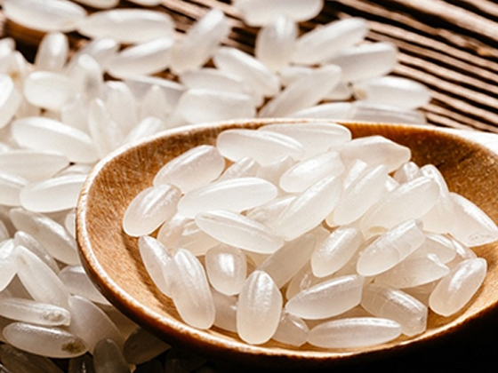 Nutritional Rice and Instant Rice Production Line