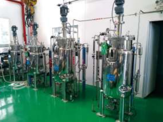 Multigang Automatic Fermentation Tank