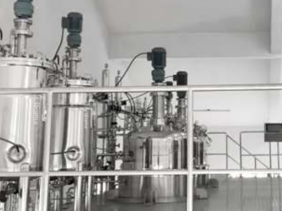 Large Scale Sets of Fermentation Equipment