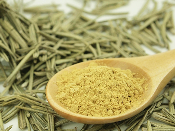 Rosemary Extract