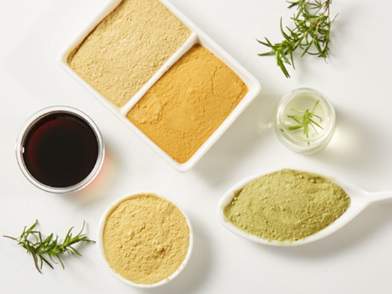 Rosemary Extract