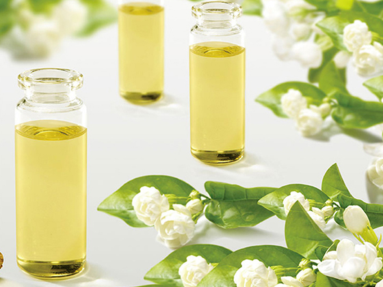 Jasmine Essential Oil
