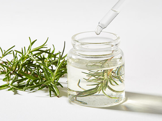 Rosemary Essential Oil