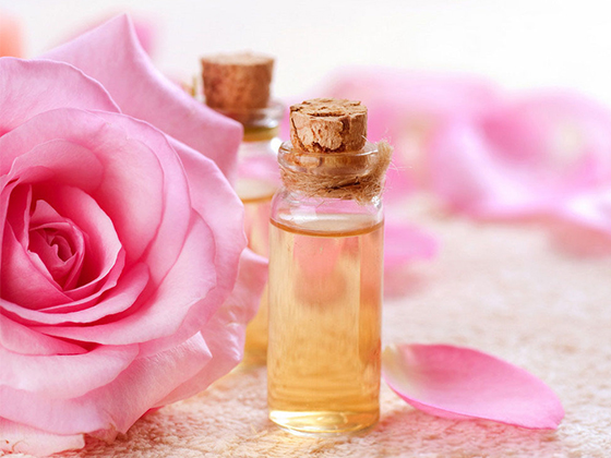 Rose Essential Oil