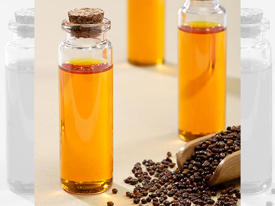 Seabuckthorn  Seed Oil