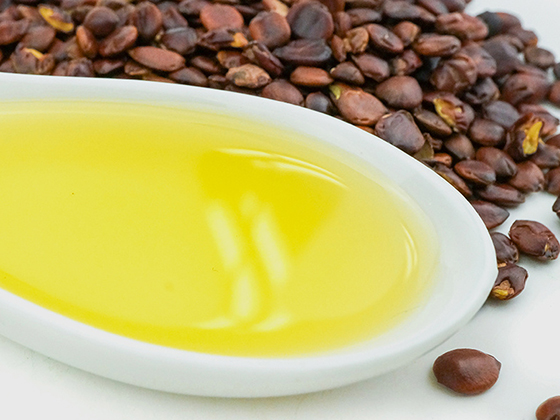 Jujube Seed Oil