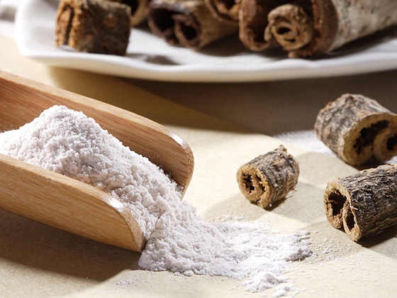Magnolia Bark Extract