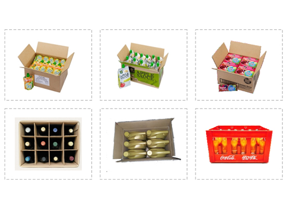 Robotic Carton Packer--- WSD-ZXJ72