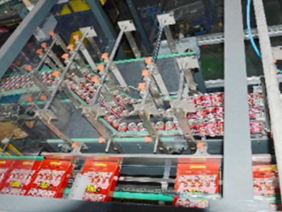 Gift box packing machine 10-30 boxes/min