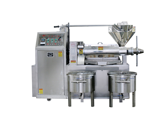 (Dual-Purpose: Raw & Roasted Material) Screw Oil Press Machine--- 6YL-131 