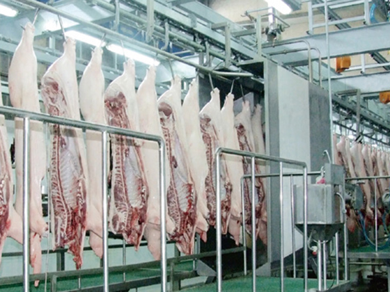 1 Million - Head Pig Slaughtering and Processing Project of Hebei Baoshun Meat Food Co., Ltd.