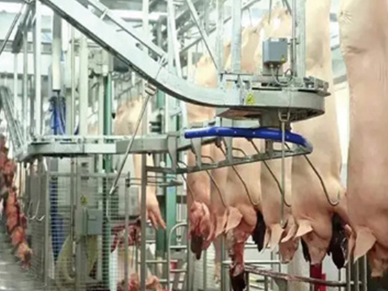 Pig Slaughterhouse Project of Tangshan Kangjian Food Co., Ltd.