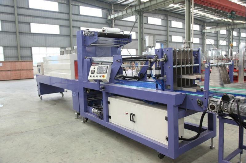 WD-350B type fully automatic straight-line double push packing machine