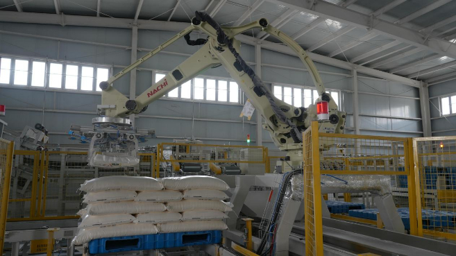 Palletizing robot is grabbing and transporting flour