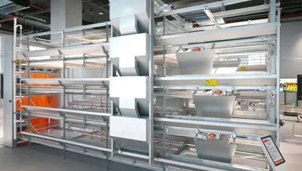 Chick Rearing Cage Pullet Cage System