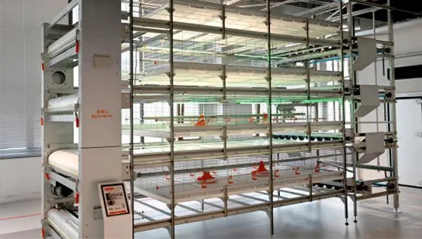 NSM100A Auto Harvest Cage System – Boost Productivity with Smart Automation