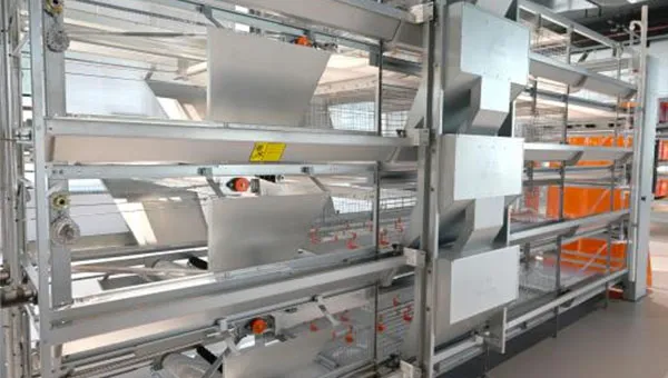 Chick Rearing Cage Pullet Cage System