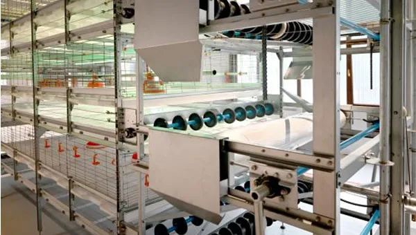 NSM100A Auto Harvest Cage System – Boost Productivity with Smart Automation