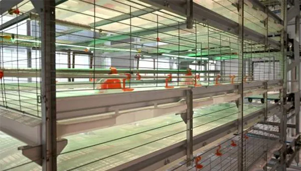 NSM100A Auto Harvest Cage System – Boost Productivity with Smart Automation