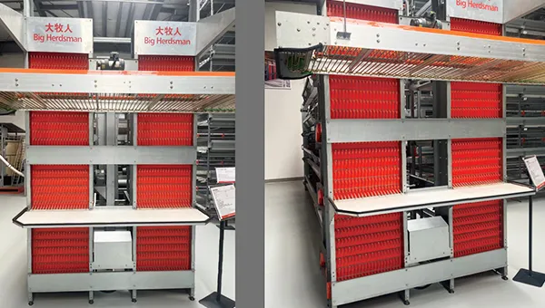 High-Efficiency Egg Conveyor System - Automated & Durable