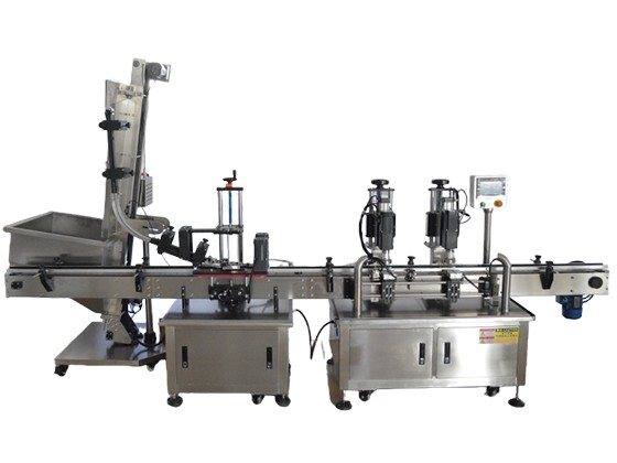 Lifting Cap Feeder + Dual-Head Servo Capping Machine