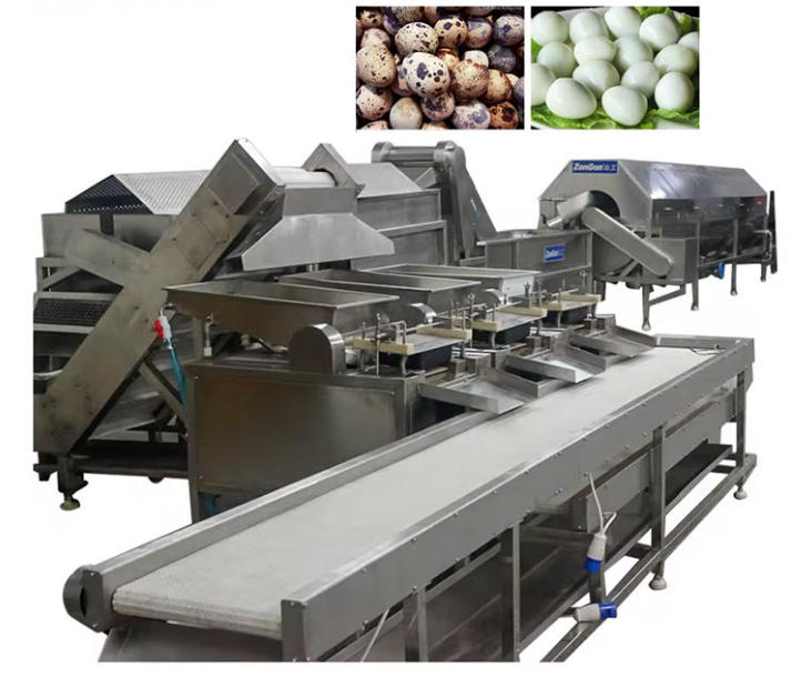 Quail Egg Cooking & Peeling Production Line---ZG-WE5000