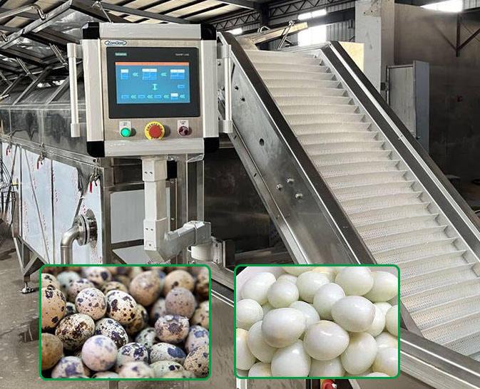 Quail Egg Cooking & Peeling Production Line---ZG-WE5000