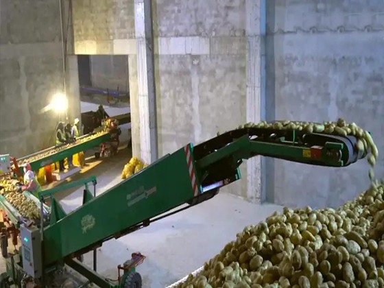40T/h High Efficiency Potato Store Loader 5SD-40
