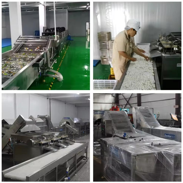 Quail Egg Cooking & Peeling Production Line---ZG-WE5000