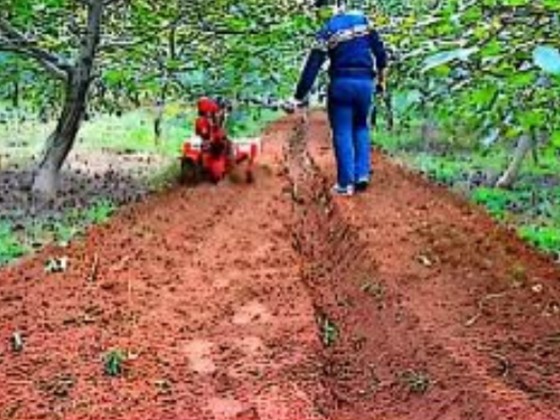 Huawo ST306 Four-wheel drive micro tillage machine