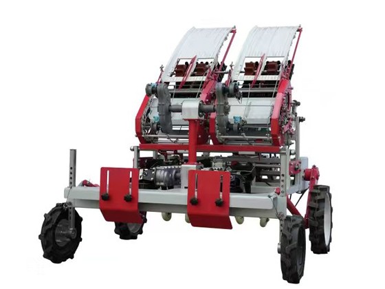 2-Row Automatic Vegetable Transplanter