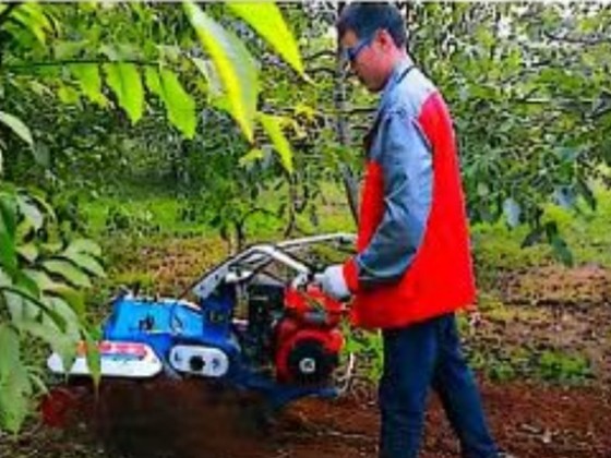 Huawo ST607 Garden Management Machine