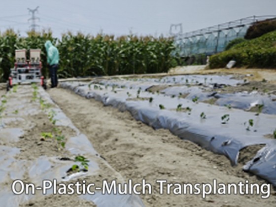 2-Row Automatic Vegetable Transplanter