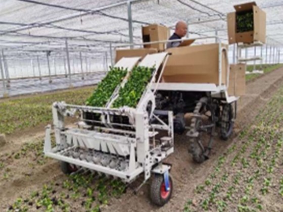 8-Row Mounted Automatic Vegetable Transplanter
