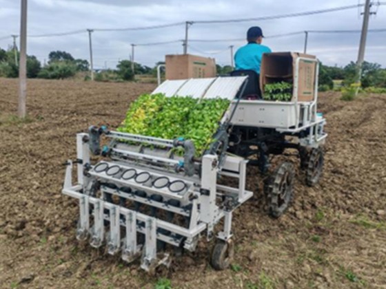 6-Row Mounted Automatic Vegetable Transplanter