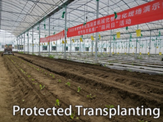 2-Row Automatic Vegetable Transplanter