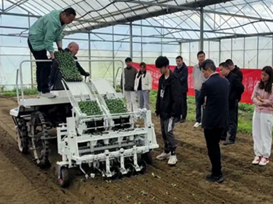4-Row MountedAutomatic Vegetable Transplanter