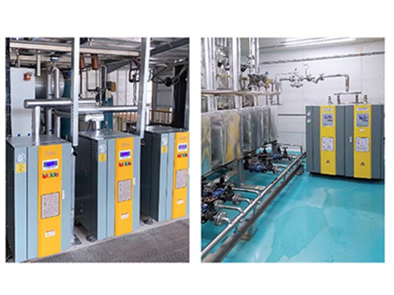 Electric Steam Generator---LDR0.1 -0.7