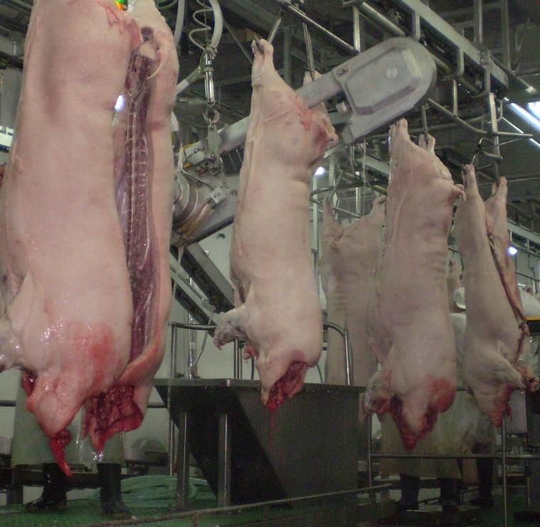 Pig Dehairing Machine Hair Removal Machine Pig Slaughtering Line