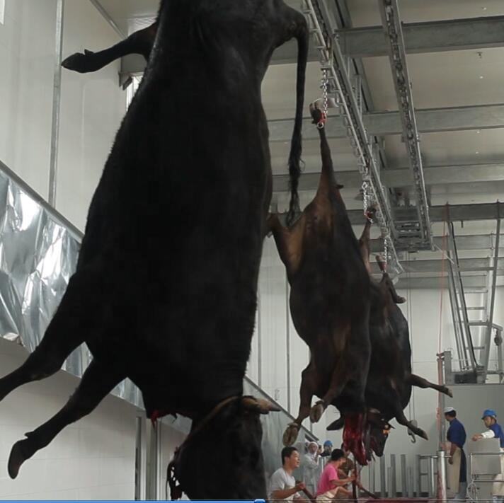 Complete Automatic Halal Cow Cattle Slaughter Machinery