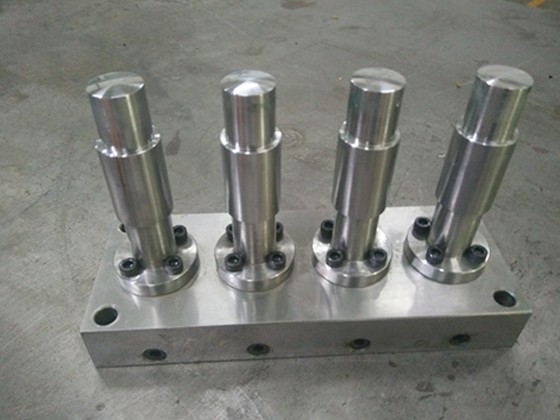 Hot Runner Injection Mold