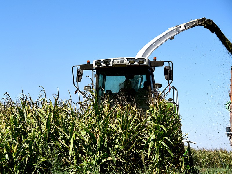 9QS-4500S --- Self-propelled Green Forage Harvester