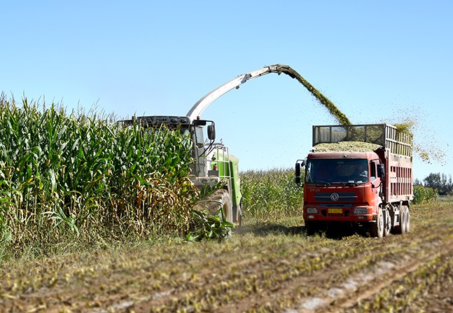 9QS-3600T ---  Self-propelled Green Forage Harvester