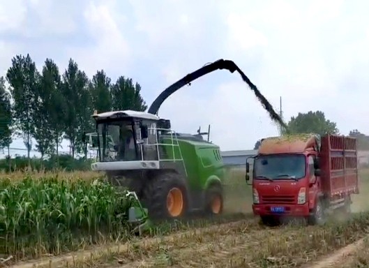 9QS-6000S --- Green forage harvester