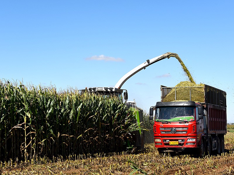 9QS-4500S --- Self-propelled Green Forage Harvester