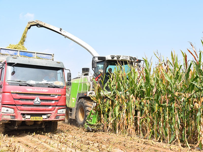 9QS-3600T ---  Self-propelled Green Forage Harvester