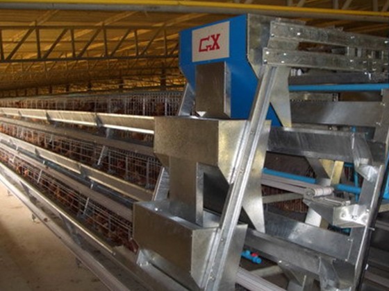 Ladder series feeding equipment