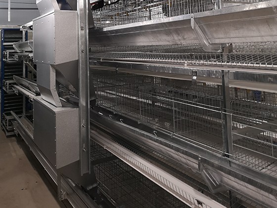 Cascading automatic laying hen feeding equipment