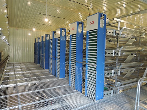  Automatic egg collection system